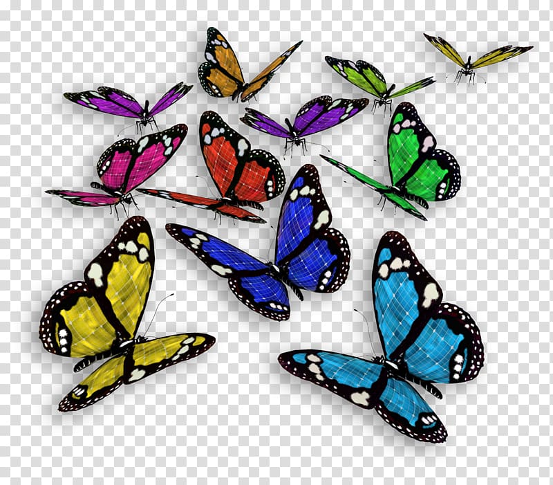 Butterfly Color Cethosia cyane, ,Flying Butterfly transparent background PNG clipart