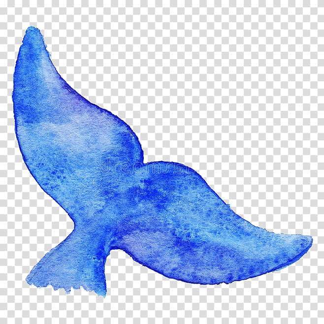 blue whale tail illustration, Blue whale Drawing Illustration, Cartoon fish tail transparent background PNG clipart