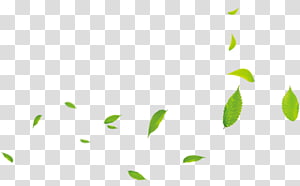 Green Leaf Background png download - 556*450 - Free Transparent