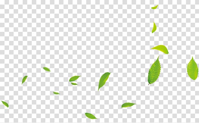small green leaves transparent background PNG clipart