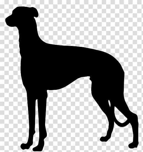 Australian Cattle Dog German Shorthaired Pointer German Wirehaired Pointer Ormskirk terrier, Silhouette transparent background PNG clipart