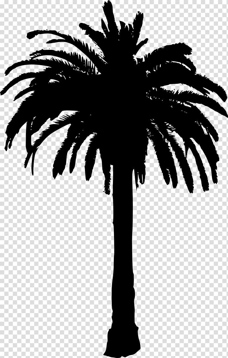 Arecaceae Silhouette Tree , coconut tree transparent background PNG clipart