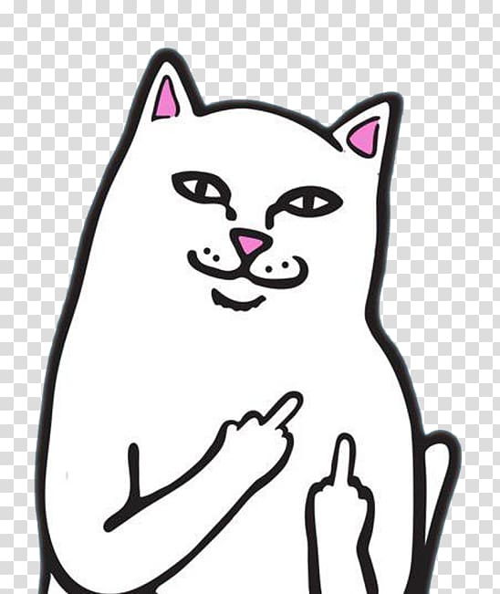 white cat illustration, Internet troll Cat Trollface Desktop , dope transparent background PNG clipart