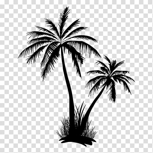 Arecaceae Tree , coconut tree transparent background PNG clipart