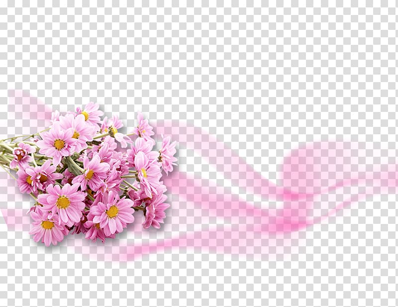 pink petaled flower , Flower Pink Chrysanthemum , Pink gerbera PSD material transparent background PNG clipart