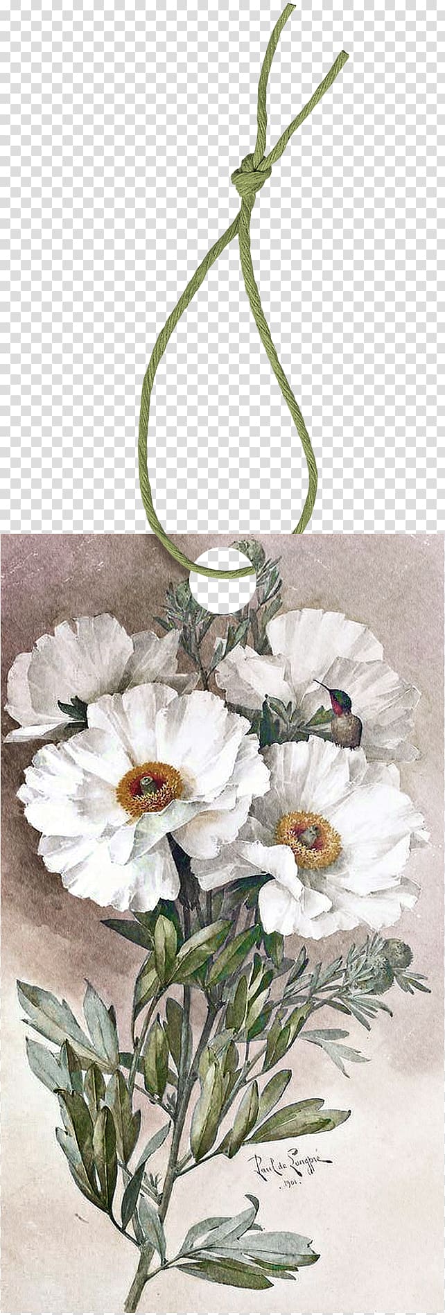 Poppy Romneya Watercolor painting Botanical illustration, rope transparent background PNG clipart