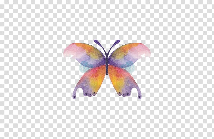 Butterfly Watercolor painting Drawing, butterfly transparent background PNG clipart