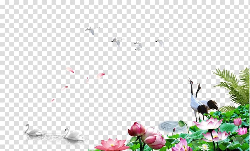 Poster , Lotus poster material transparent background PNG clipart