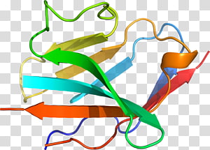 Line Point , line transparent background PNG clipart thumbnail