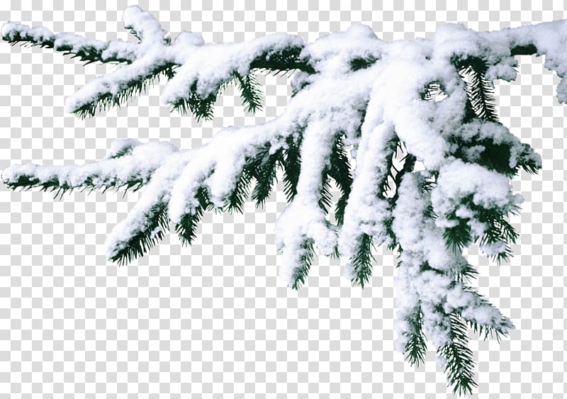 Desktop , snow transparent background PNG clipart