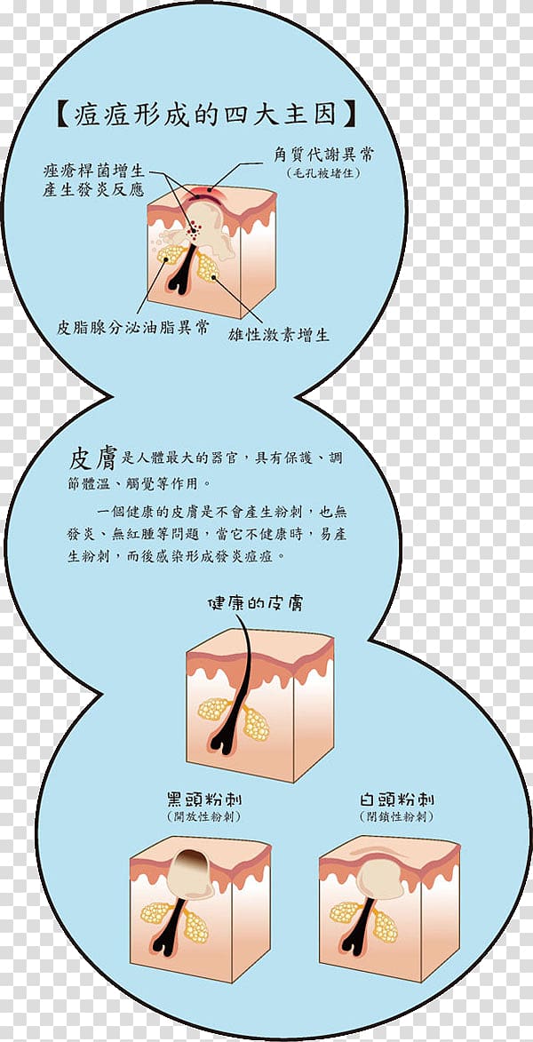 Taoyuan County, Taiwan Organism Human behavior Toxin Immunity, pimple transparent background PNG clipart