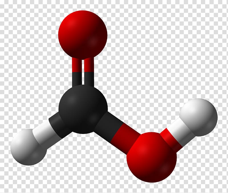 Formic acid Ant Carboxylic acid Acetic acid, others transparent background PNG clipart