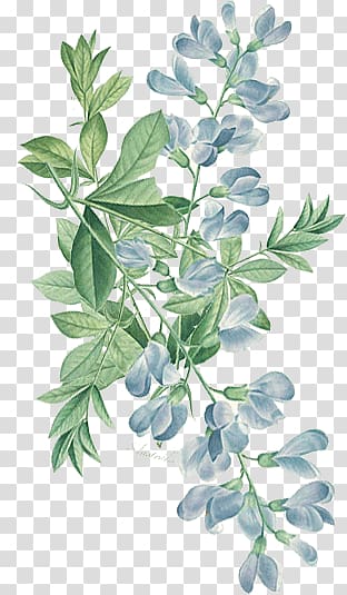 wind blue flowers illustration transparent background PNG clipart
