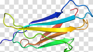 Line Point , line transparent background PNG clipart thumbnail