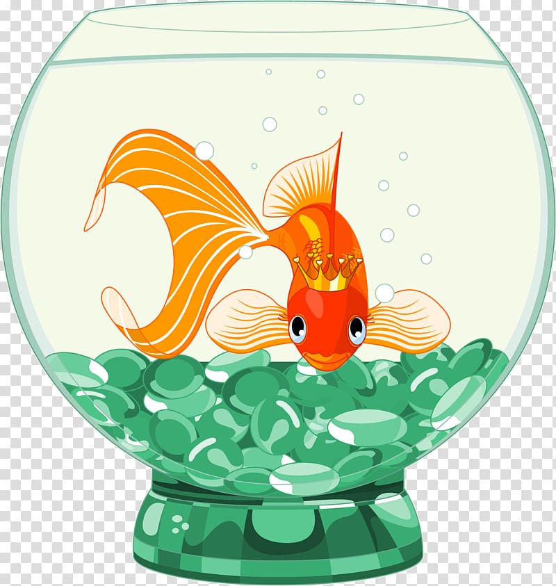 Oranda Aquarium , fish tank transparent background PNG clipart