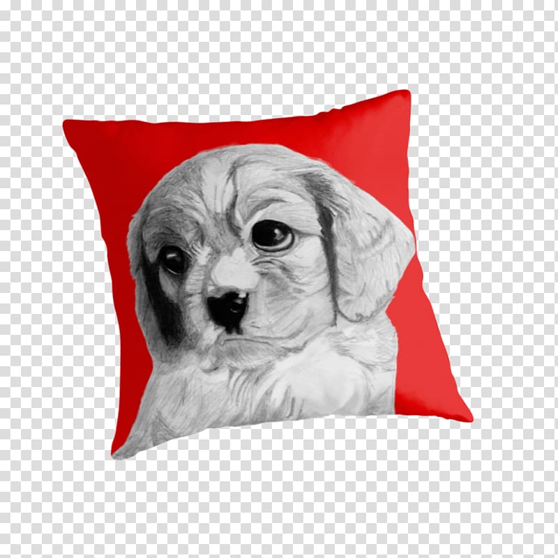Dog breed Puppy Companion dog Pillow, Cavalier King Charles Spaniel transparent background PNG clipart