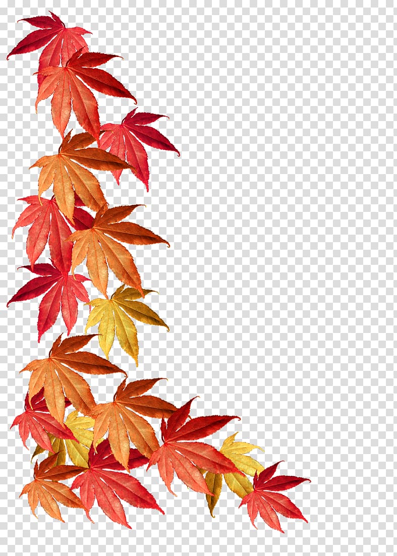 red leaf, Borders and Frames Maple leaf Autumn leaf color, autumn leaves transparent background PNG clipart
