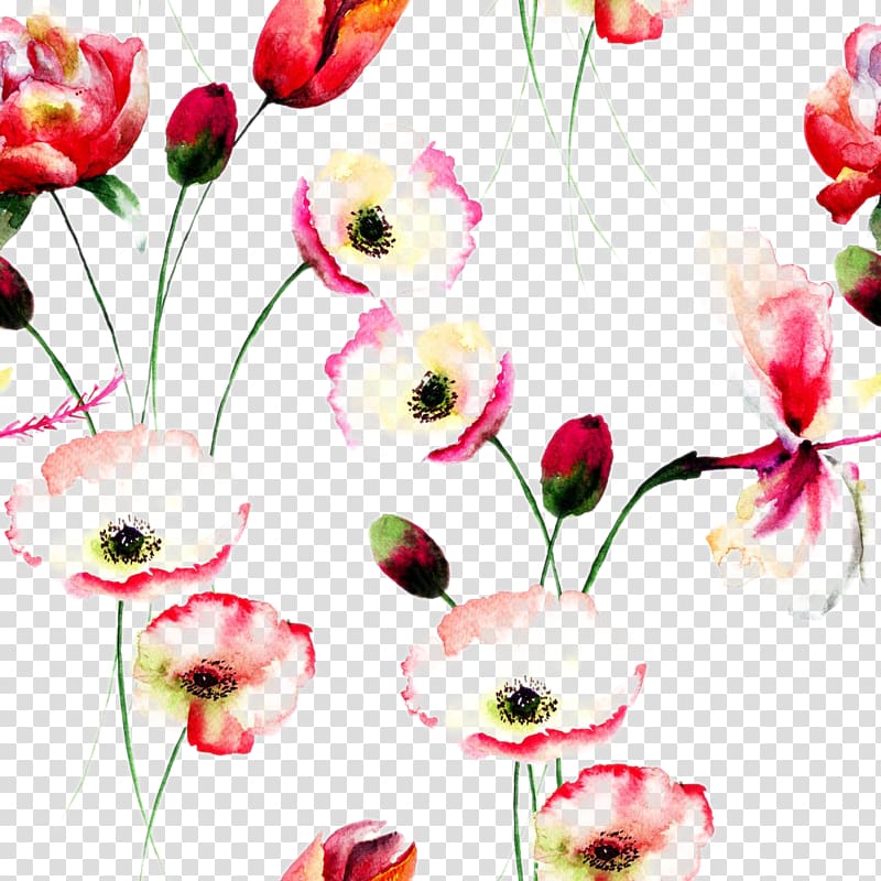 red poppy flowers illustration, Poppy Flowers Watercolor painting Floral design, Beautiful watercolor flowers background transparent background PNG clipart