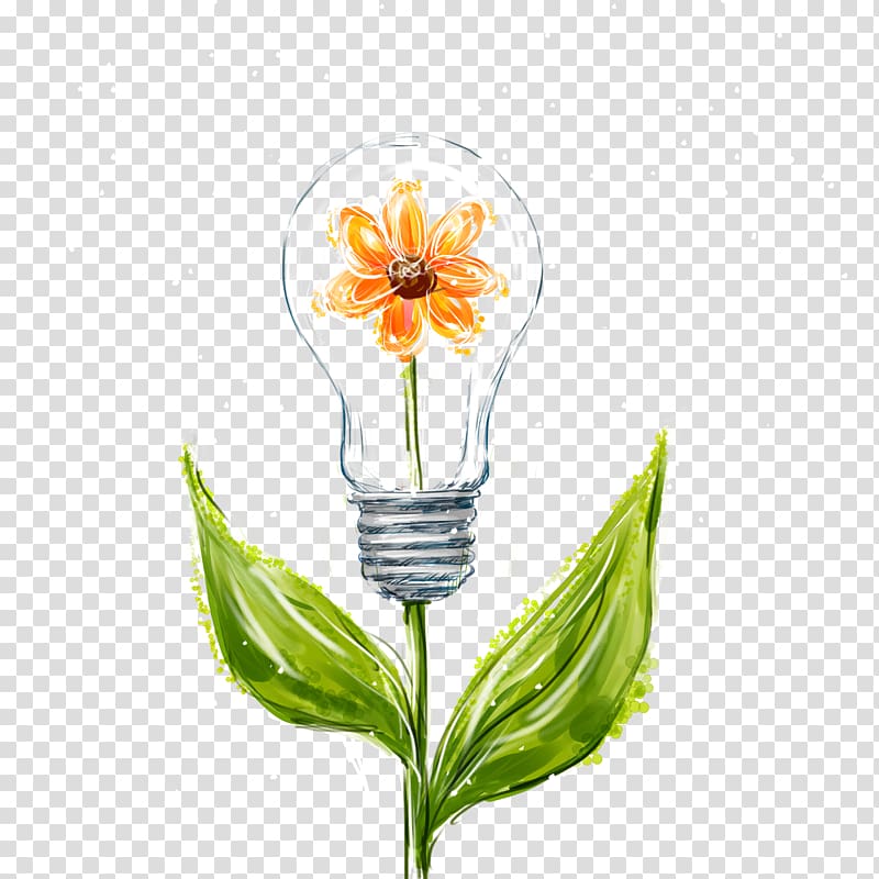 Flower Leaf Orange blossom, Plant bulbs transparent background PNG clipart