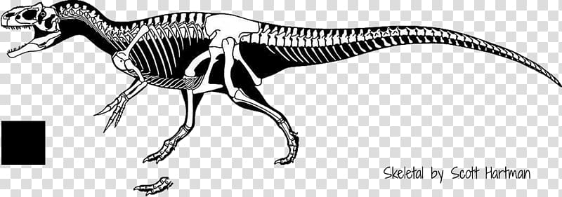 Torvosaurus Saurophaganax Allosaurus Herrerasaurus Tyrannosaurus, dinosaur transparent background PNG clipart