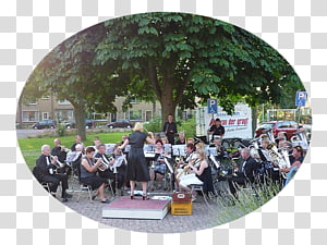 Recreation Tree, tree transparent background PNG clipart thumbnail