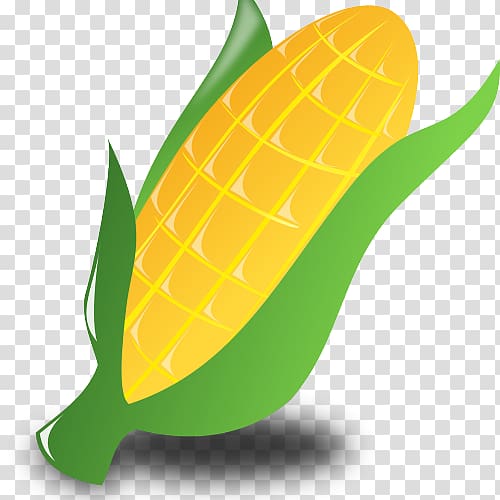 Corn on the cob Maize Corncob Vegetable , vegetable transparent background PNG clipart