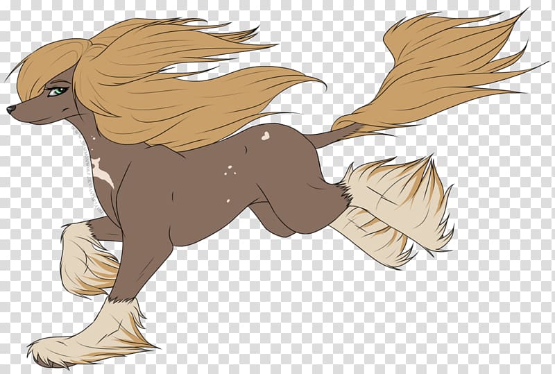 Canidae Horse Bird Dog, horse transparent background PNG clipart
