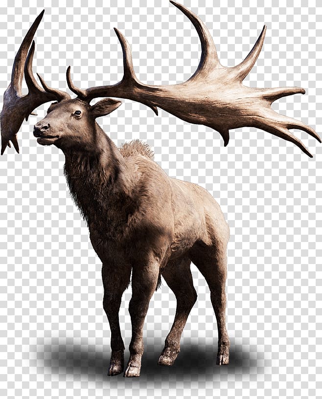 Far Cry Primal Irish Elk Far Cry 4 PlayStation 4, animal hair transparent background PNG clipart