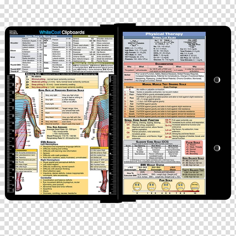 Physical therapy Clipboard Medicine Occupational Therapy, specialty transparent background PNG clipart
