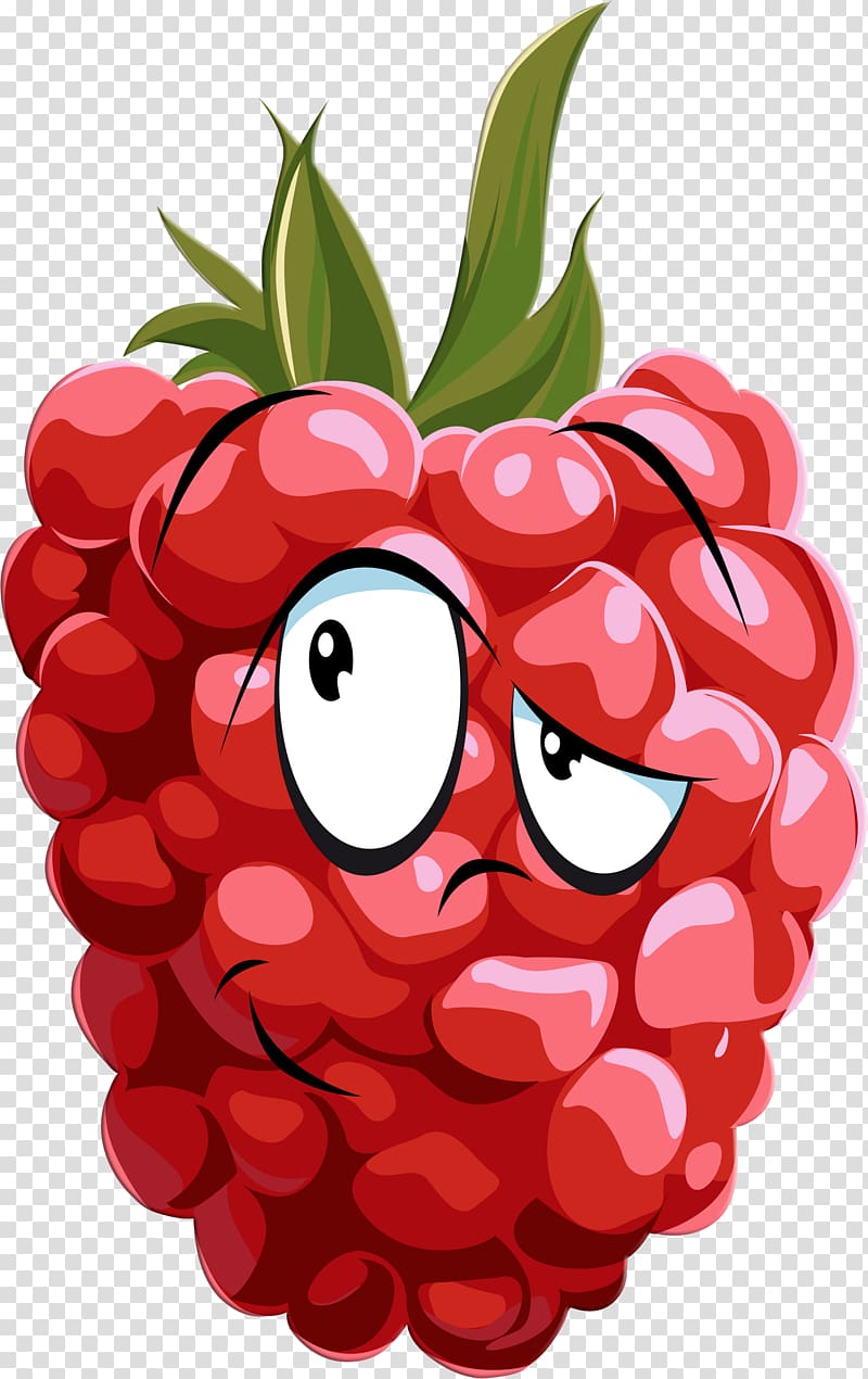 Raspberry Drawing, raspberries transparent background PNG clipart