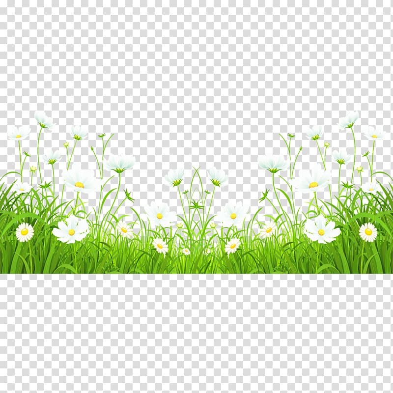 Green , Grass flowers transparent background PNG clipart