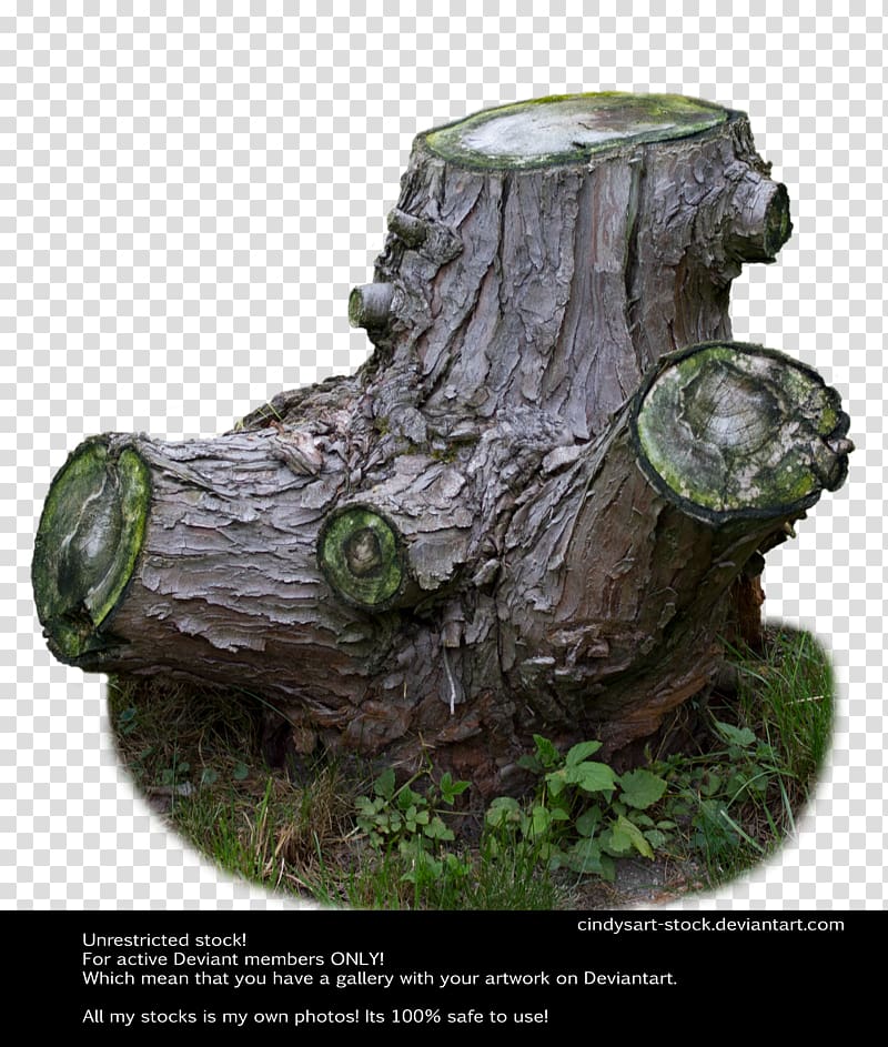 Tree stump Trunk, tree transparent background PNG clipart