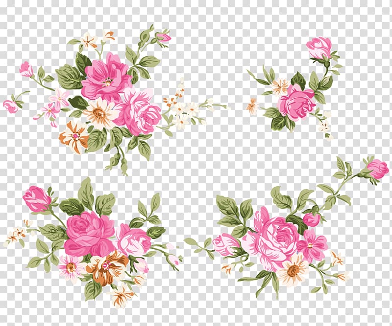 four pink-and-white petaled flowers , Peony , Peony transparent background PNG clipart