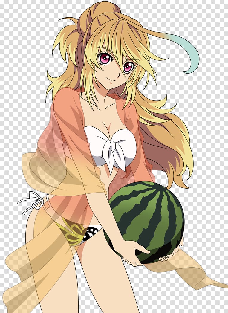 Tales of Xillia 2 Video game Character Waifu, beach girl transparent background PNG clipart