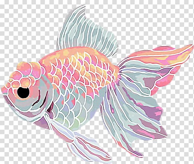 Drawing Goldfish , Sparkle heart transparent background PNG clipart