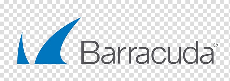 Barracuda Networks Computer security Computer network Network security Kappa Data, others transparent background PNG clipart