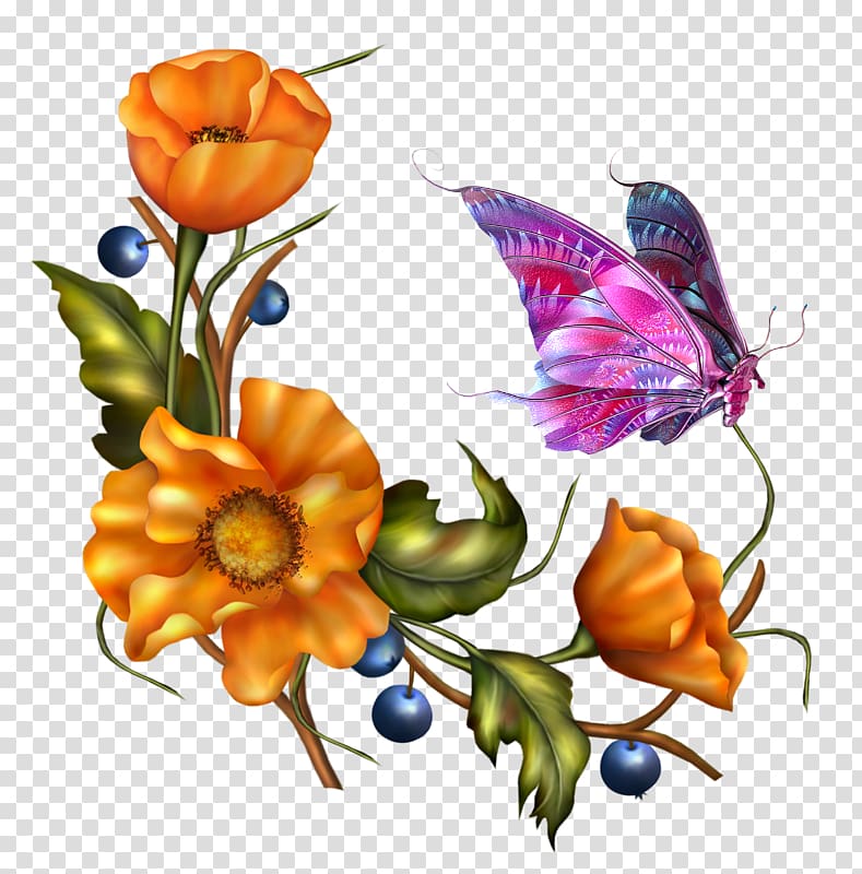 Butterfly Papillon dog , butterfly transparent background PNG clipart