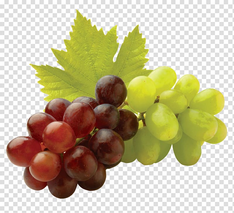 Common Grape Vine Electronic hookah Juice Sultana, juice transparent background PNG clipart