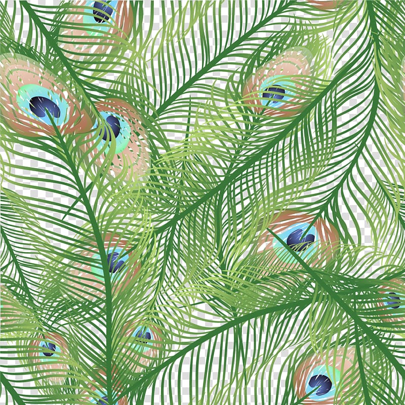 green and pink leaves illustration, Feather Peafowl Euclidean , Hand painted Peacock Feather transparent background PNG clipart