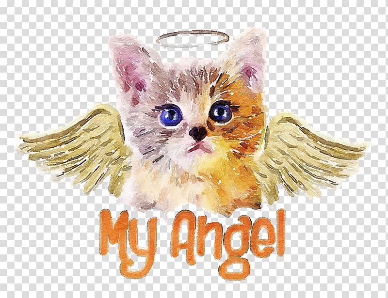 Cat T-shirt Kitten Puppy Dog, Angel Kitten transparent background PNG clipart