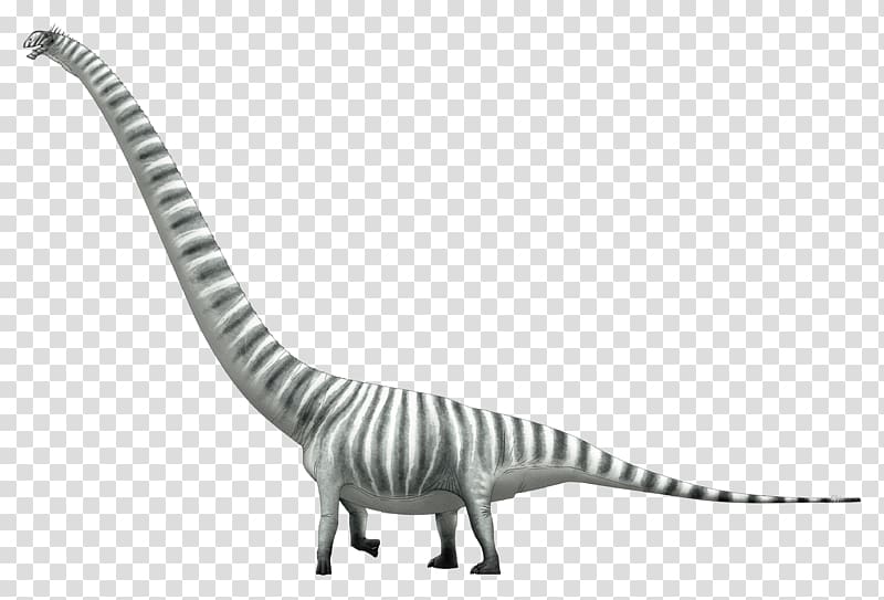Mamenchisaurus Dinosaur Lusotitan Sauropoda Brachiosaurus, dinosaur transparent background PNG clipart