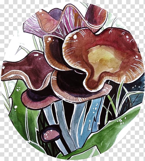 Drawing Painting August 18, fungi transparent background PNG clipart