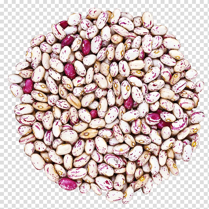 Cranberry bean Vegetarian cuisine Organic food, cranberry beans transparent background PNG clipart