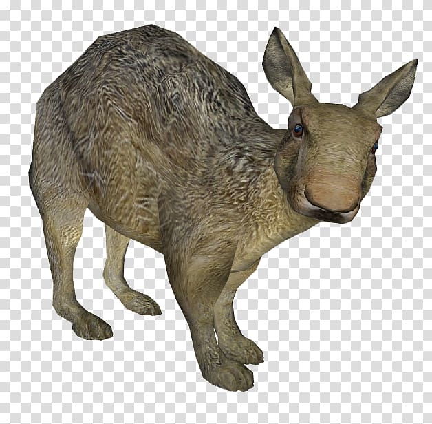 Sculptor Kangaroo Elephantidae Artist Sculpture, Glyptodont transparent background PNG clipart