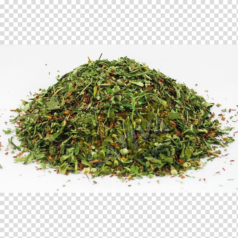 Nilgiri tea Sencha Cannabis tea Romeritos, tea transparent background PNG clipart