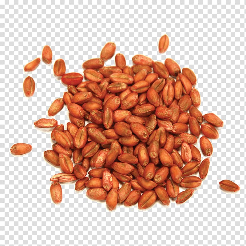 Peanut Commodity, wheat Seeds transparent background PNG clipart