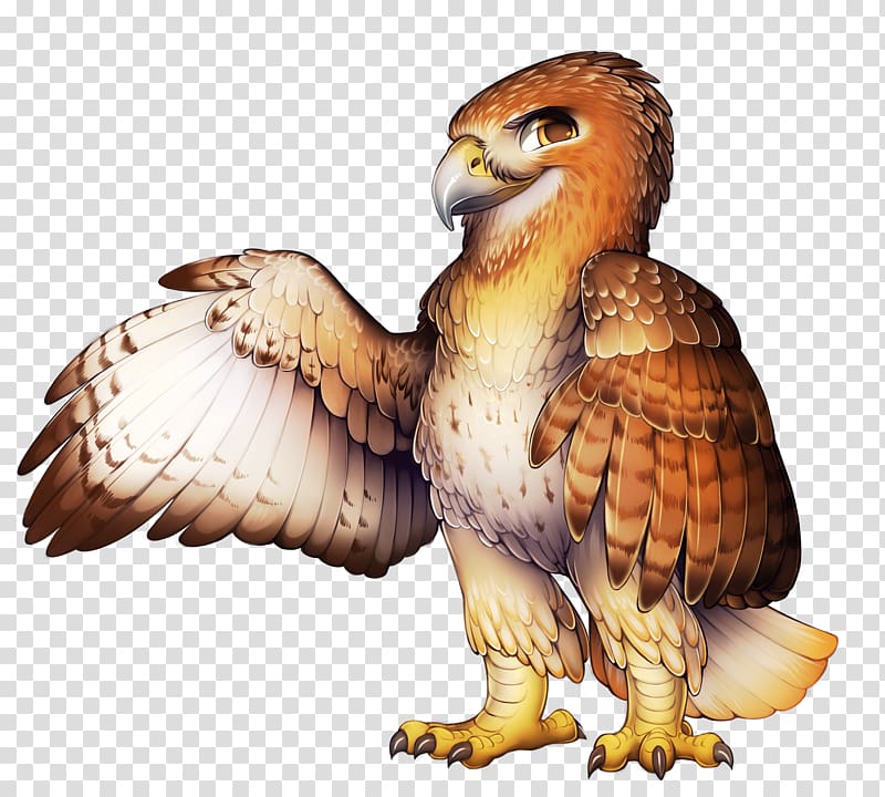 Eagle Red-tailed hawk El Halcon De Cola Roja Furry fandom, eagle transparent background PNG clipart