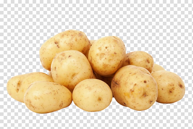 Potato Nutrient Vegetable Food Nutrition, potato transparent background PNG clipart