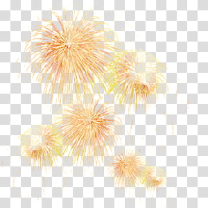 Picsart Photo Studio Image Gif Graphics Fireworks - Transparent Background  Fireworks Gif, HD Png Download, free png download