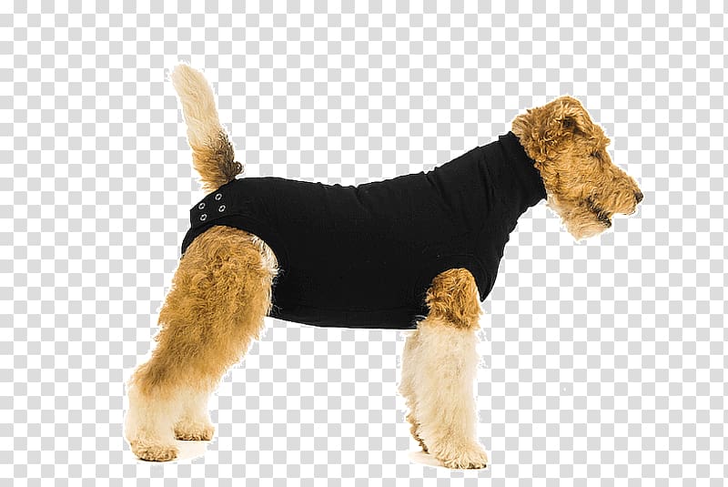 Dog booties Amazon.com Surgery Suit, Dog transparent background PNG clipart